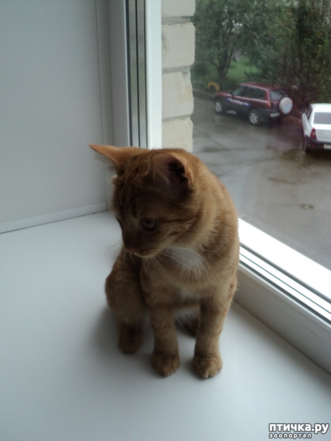 ���� 5: ��� �������, �������� � ���������, �����������!!!