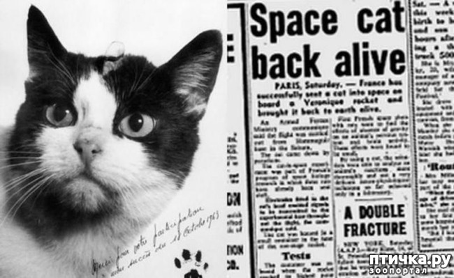 ���� 10: ����� � �������