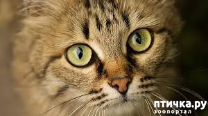 ����: ��� ������ 3000 �� � ������� �������� ������