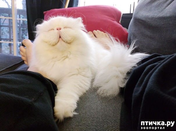 ���� 2: ������ ���������