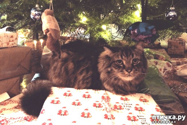 ���� 1: ���� ������� � ����� ���