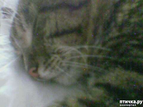 ���� 2: ��������� �������������, ���������.