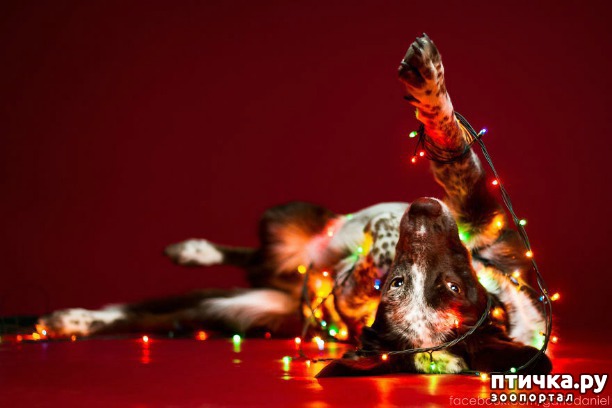 ���� 2: ���� ������� � ����� ���