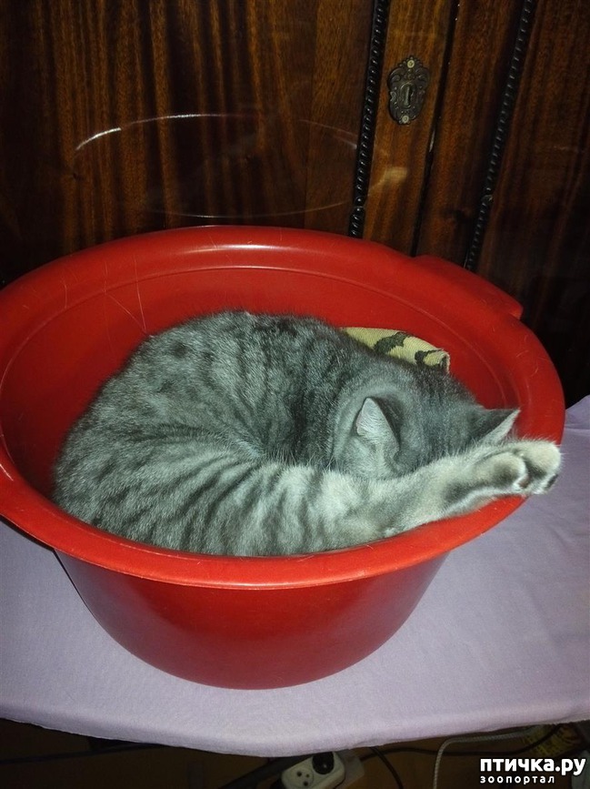 ���� 4: ��������� �������������, ���������.