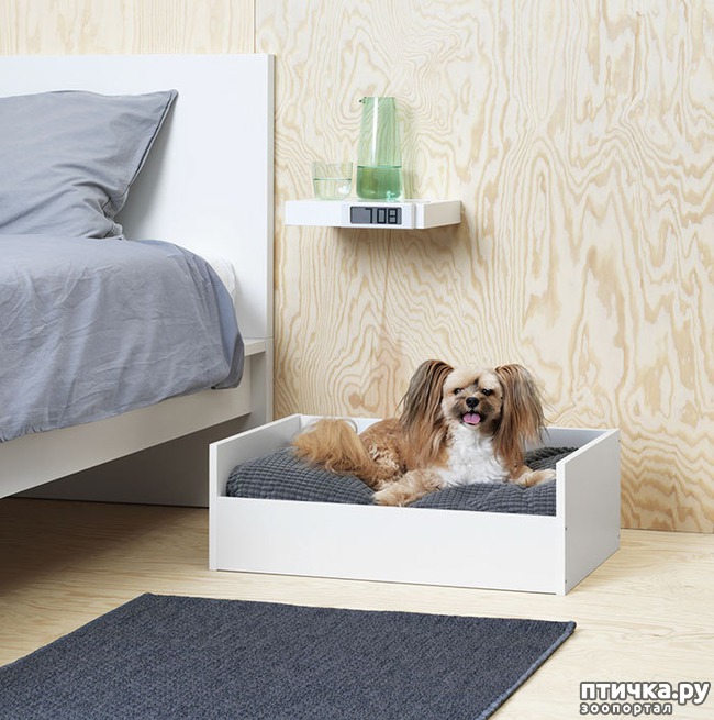 ���� 3: IKEA ������ ��������� ������ ��� �������� ��������