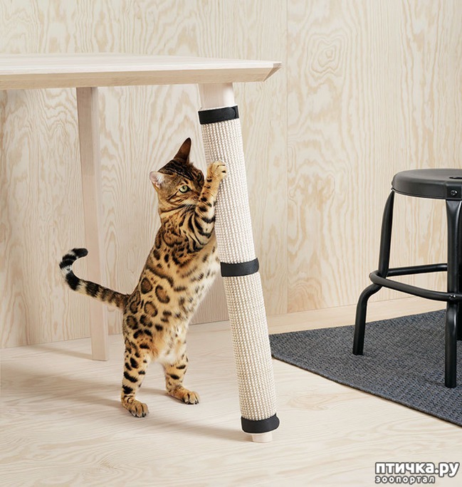 ���� 5: IKEA ������ ��������� ������ ��� �������� ��������