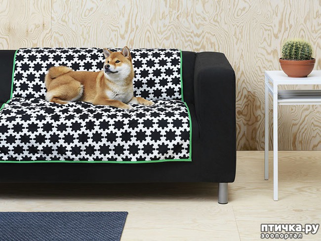 ���� 6: IKEA ������ ��������� ������ ��� �������� ��������