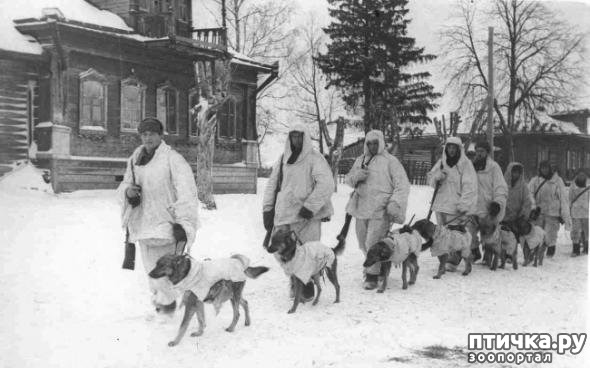 ���� 1: ������������� ���� �������� � ������