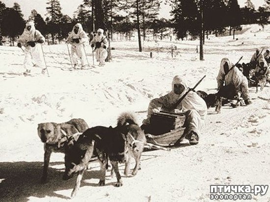 ���� 2: ������������� ���� �������� � ������