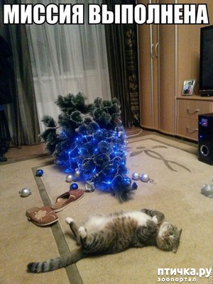 ����: ��� �� ������������� ���� � ������������ ��������