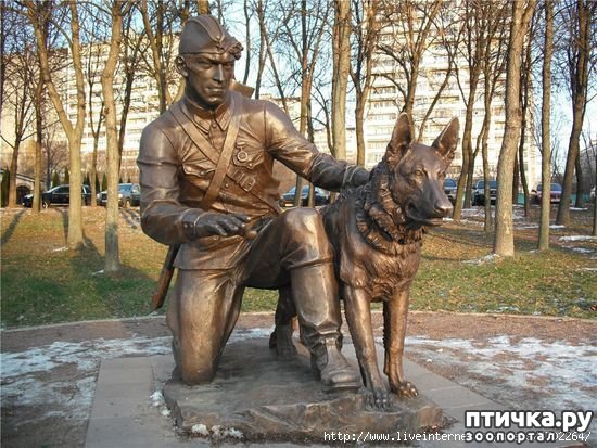 ���� 4: ������������� ���� �������� � ������