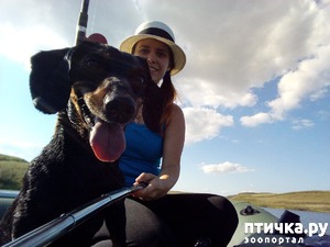 ����: ������� �����-�����+ ����� ����� � ���������