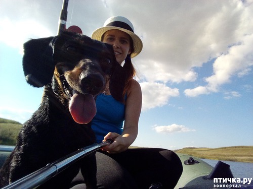 ���� 1: ������� �����-�����+ ����� ����� � ���������