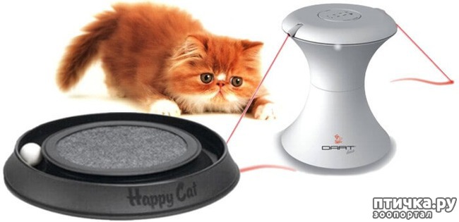 ���� 5: ������� ��� �����