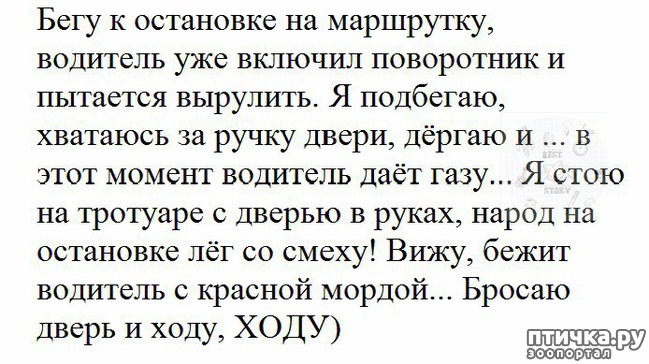  1:     ))   .