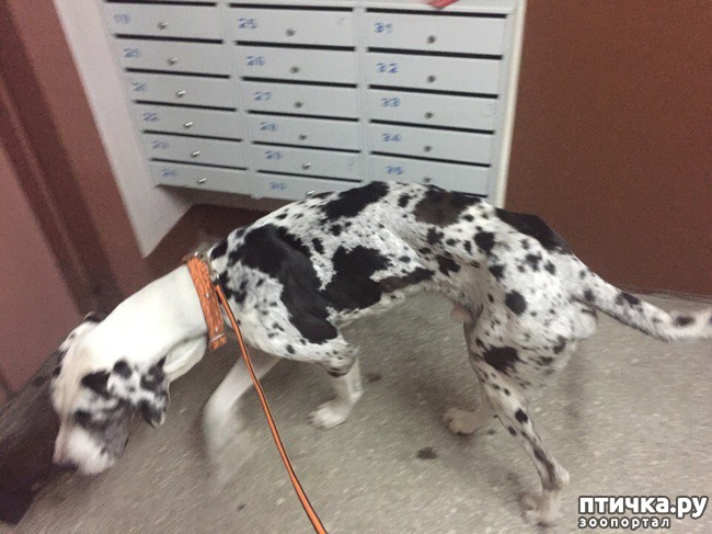 ���� 3: �������� ����, ������������ � ����