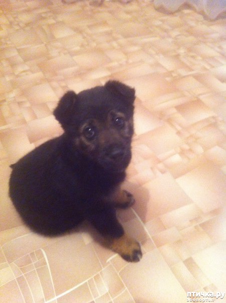 ���� 1: ��� ��� �� ������ �����