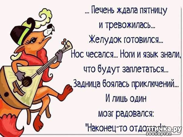 фотография 3: Про собак и кошек анекдоты)) И не только. фото 3: Про собак и кошек анекдоты)) И не только.