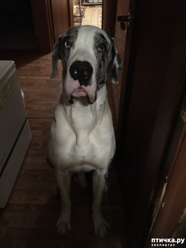 ���� 4: �������� ����, ������������ � ����