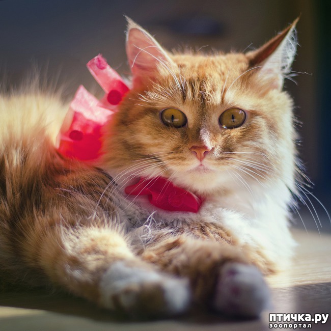 ���� 1: ���� ����� �����