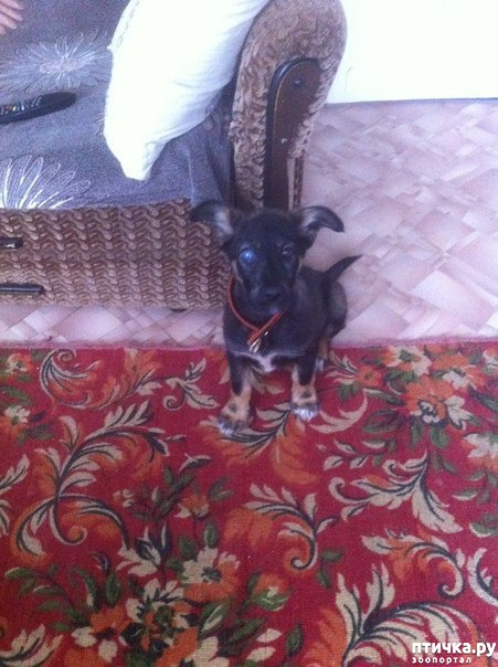 ���� 2: ��� ��� �� ������ �����