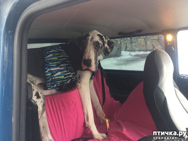 ���� 5: �������� ����, ������������ � ����