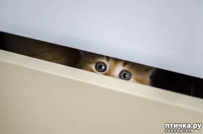 ���� 2: ���� ����� �����