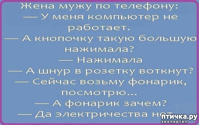 фотография 5: Про собак и кошек анекдоты)) И не только. фото 5: Про собак и кошек анекдоты)) И не только.