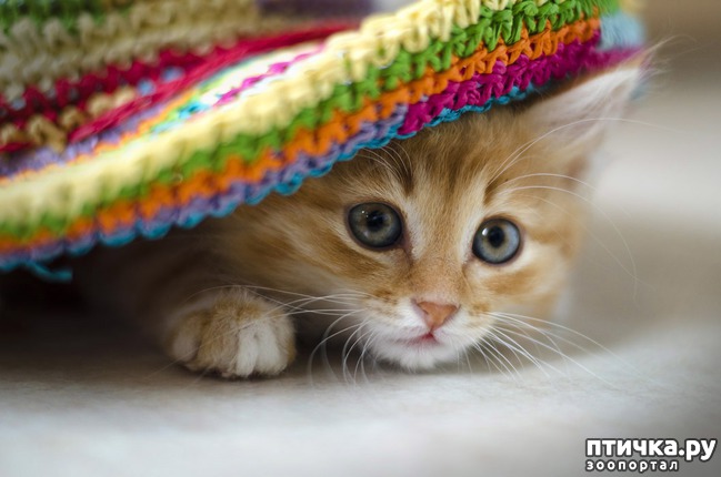 ���� 3: ���� ����� �����