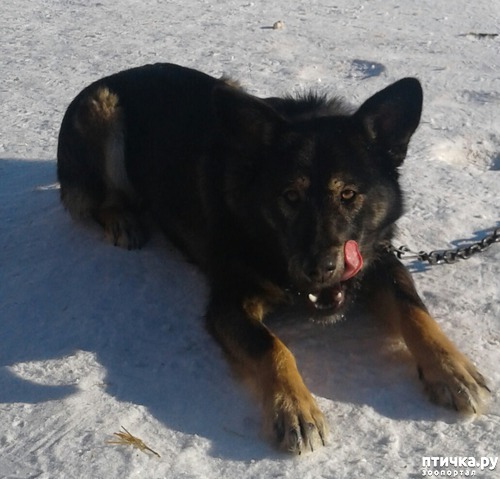 ���� 3: ��� ��� �� ������ �����