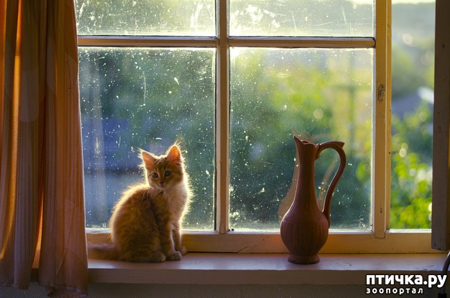 ���� 4: ���� ����� �����