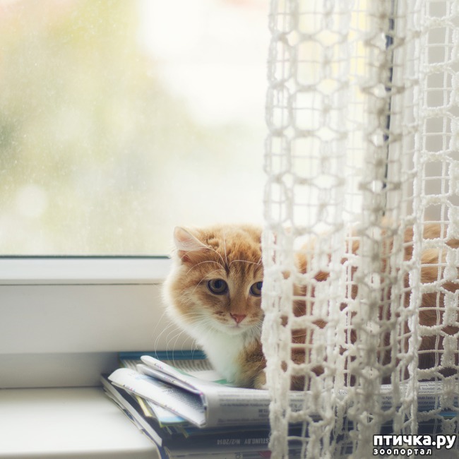 ���� 5: ���� ����� �����