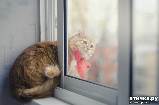 ���� 6: ���� ����� �����