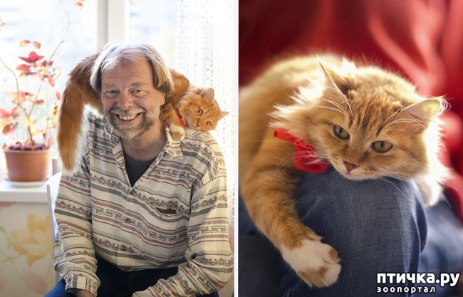 ���� 7: ���� ����� �����