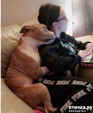 ����: ���� ���: ����������� ��� �� ������ �������� ���� ����� �������