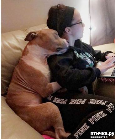 ���� 1: ���� ���: ����������� ��� �� ������ �������� ���� ����� �������