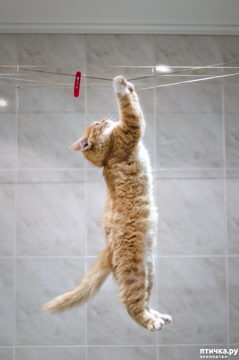 ���� 8: ���� ����� �����