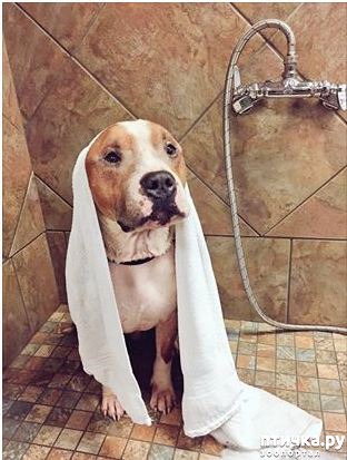 ���� 2: ���� ���: ����������� ��� �� ������ �������� ���� ����� �������