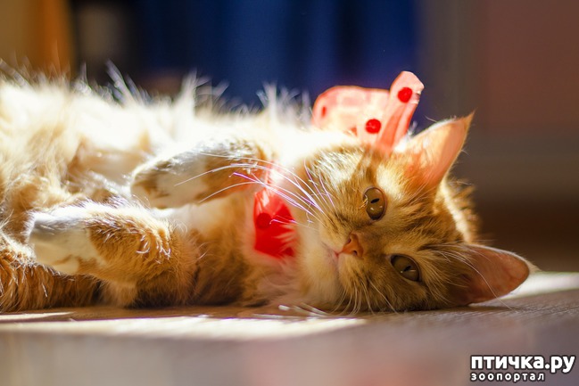 ���� 10: ���� ����� �����