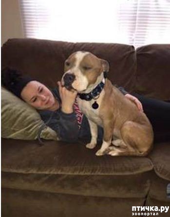 ���� 3: ���� ���: ����������� ��� �� ������ �������� ���� ����� �������