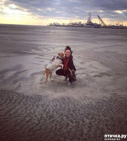 ���� 4: ���� ���: ����������� ��� �� ������ �������� ���� ����� �������