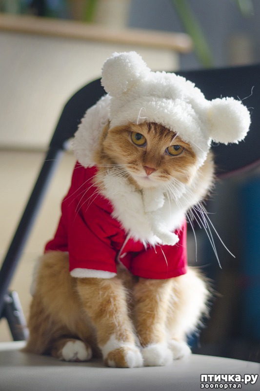 ���� 11: ���� ����� �����