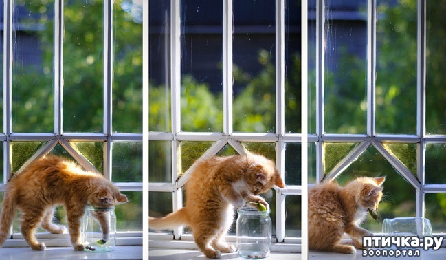 ���� 12: ���� ����� �����