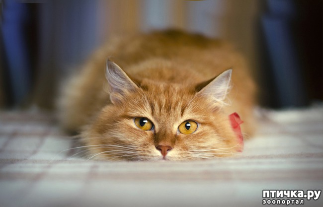 ���� 13: ���� ����� �����