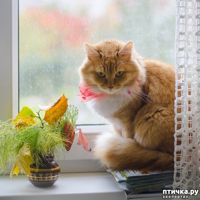 ���� 14: ���� ����� �����