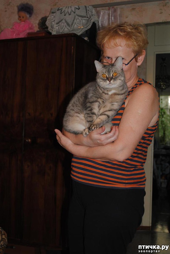 ���� 8: ��������� �������������, ���������.