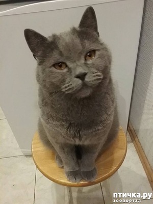 ����: ������� ��� ���������� ����������