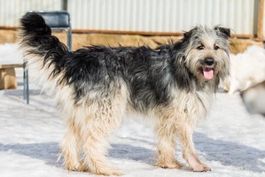 ����: �������, ��������, ������ ����) ������� � ����!