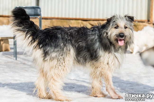 ���� 1: �������, ��������, ������ ����) ������� � ����!