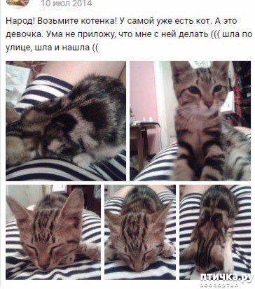 фотография 1: Моя маленькая девочка. Айвори. фото 1: Моя маленькая девочка. Айвори.